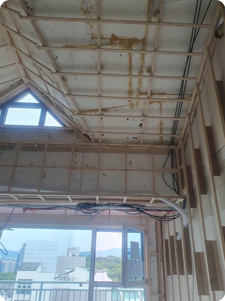 a7629319da7b65e96151fb13a1997519_1766386551_1737.jpg a7629319da7b65e96151fb13a1997519_1766386551_1737.jpg